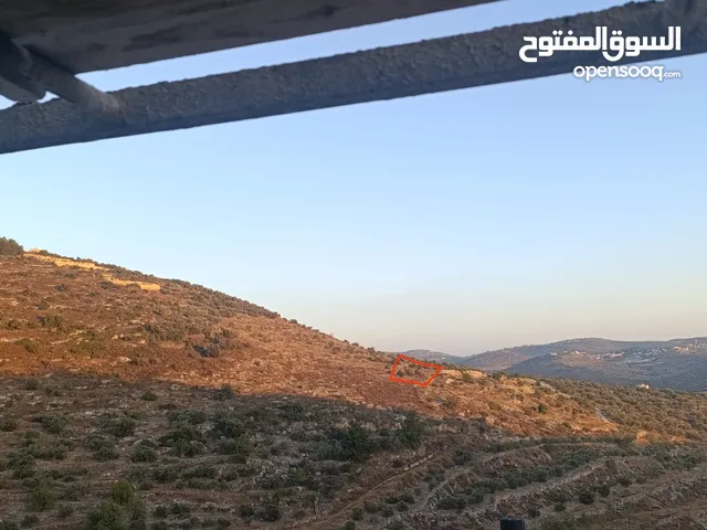 Residential Land for Sale in Tulkarm Kafr Rumman