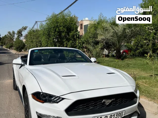 موتسنك فورد 2023 للبيع