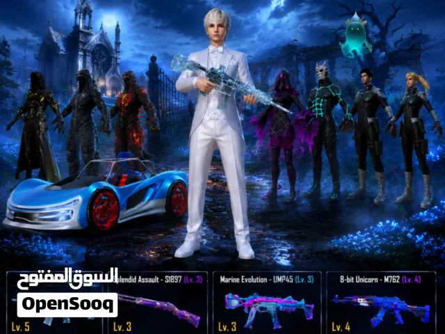 Pubg Accounts and Characters for Sale in Muscat