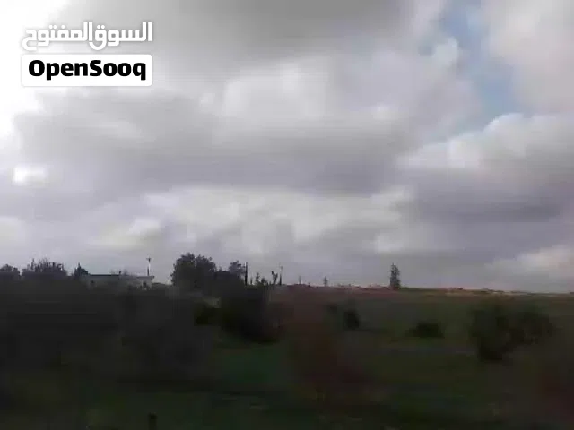 ارض للبيع الزاويه في منطقة بئر القلالي