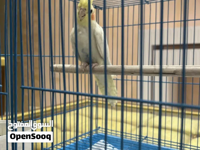 ررزدززززززز