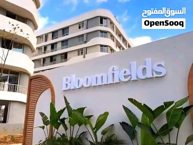 184 m2 3 Bedrooms Apartments for Sale in Cairo El Mostakbal
