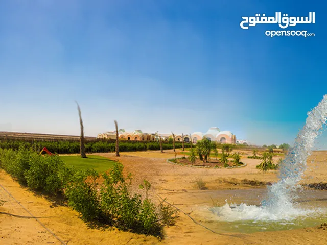 ارض زراعية 15 فدان بغرب غرب المنيا للايجار تابعة للريف المصري