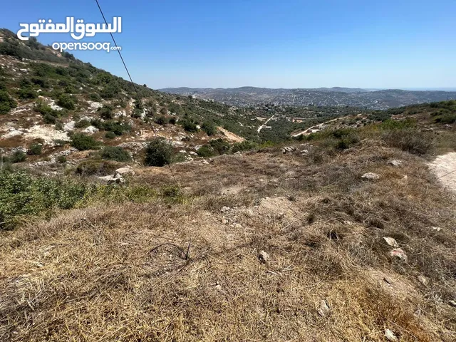 بسبب ظروف السفر وترك المنطقة، بدي أبيع الأرض.