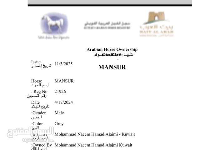 منصور ولد بطل ضيدان العدواني