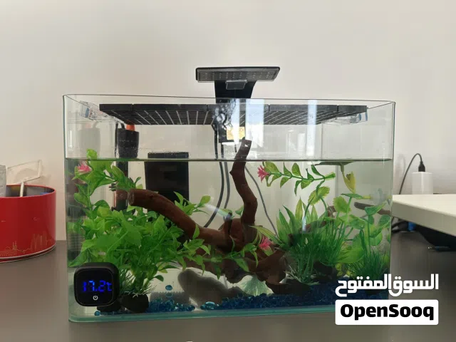 طقم حوض أسماك بيتا متكامل سعة 5 جالون  Complete 5-Gallon Betta Fish Tank Set