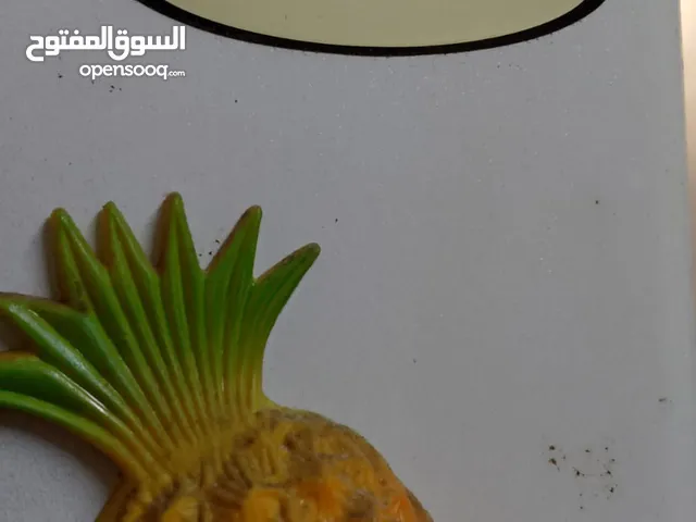 General Deluxe Refrigerators in Irbid
