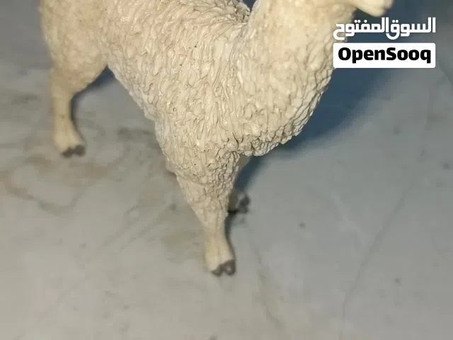 للبيع العاب حيوانات