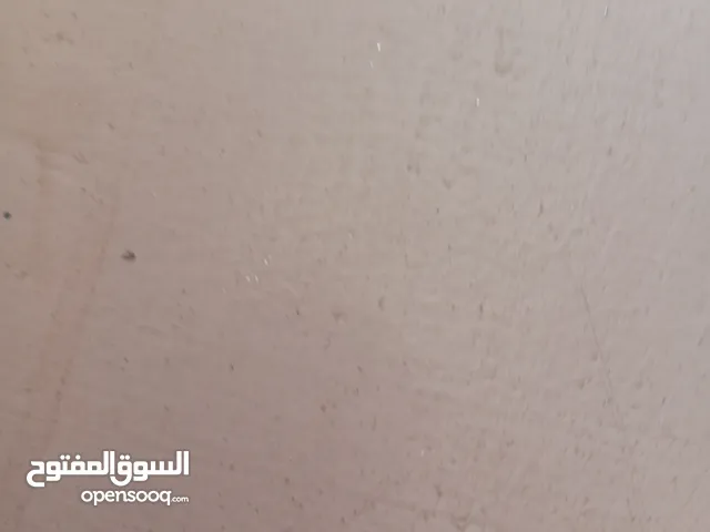 صيصان للبيع