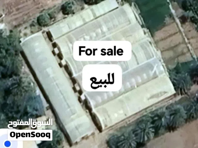 صالة زراعية 5 أقواس ( بيوت محمية ) مستعملة للبيع