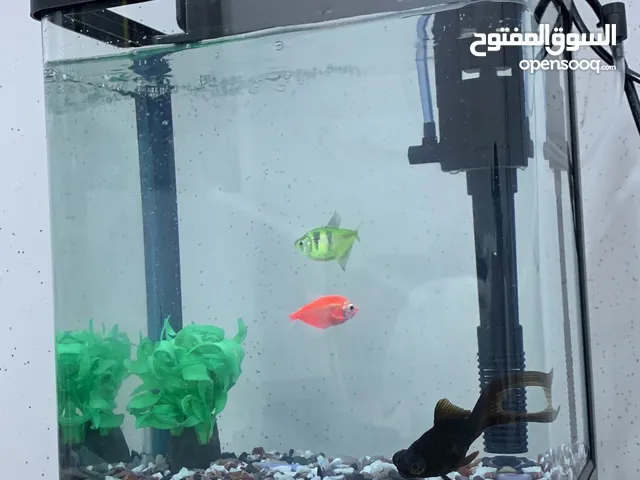 الحوض كامل ملحقات