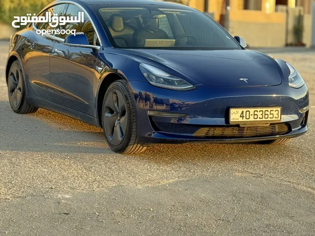 Tesla model 3 stander plus