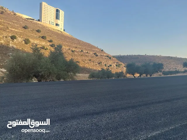 دونم في رام الله اريحان