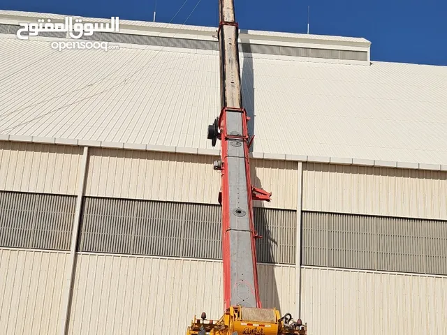 Lifting equipment for rant mobile crane 25 ton to 220+50ton  boomlodr tarelar and all have equipment