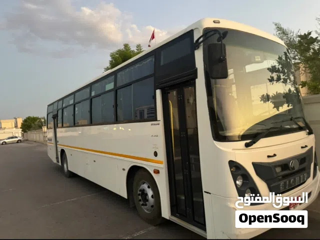 باص مديل 2019