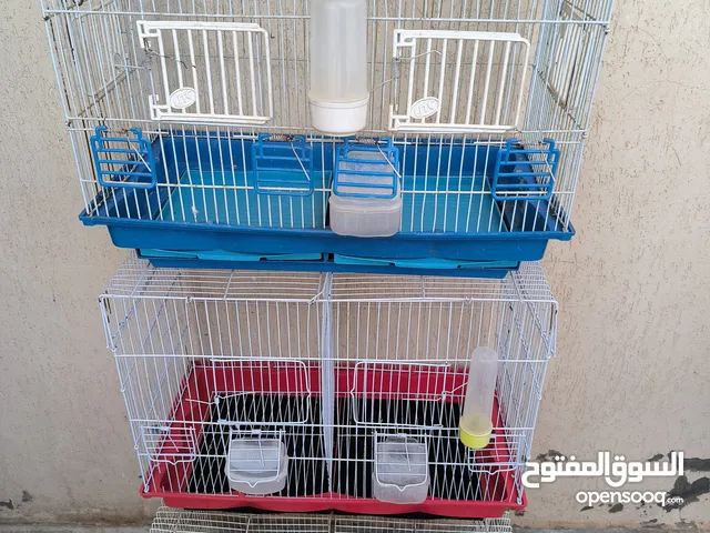 السلام عليكم ورحمه الله وبركاته
