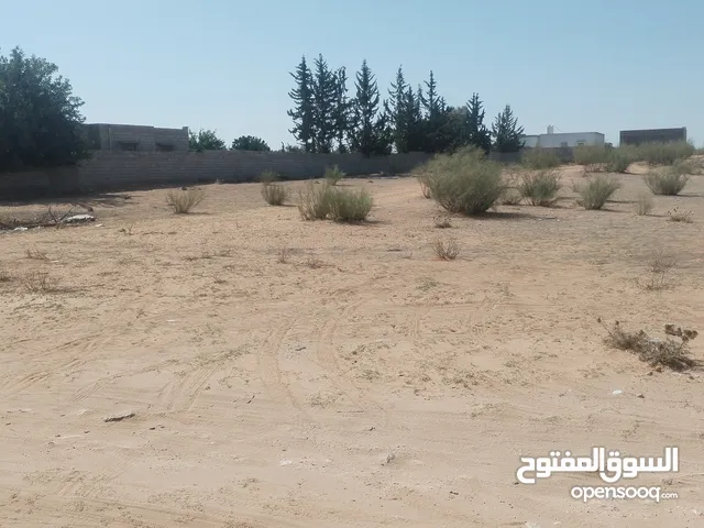 ارض للبيع في لبازيد 3500متر واجها32 شارع مقابل مدرسه بوزيد تبعد على رئيسى 300م تقريبا