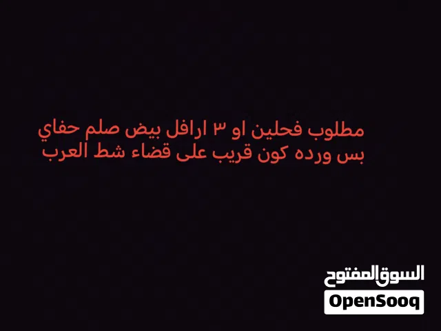 مطللللوب ارافل فحله بيض