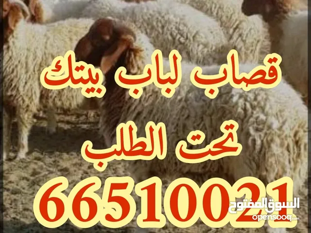 قصاب متنقل تحت الطلب/زبايح للبيع