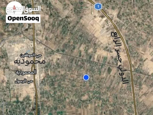 ارض طابو زراعي سند 25. للبيع.