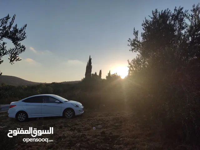 هونداي آكسنت 2014