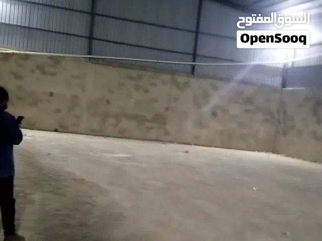 هنجر للايجار بيت بوس