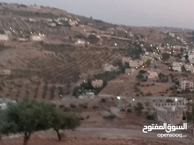 Mixed Use Land for Sale in Jerash Al-Mastaba
