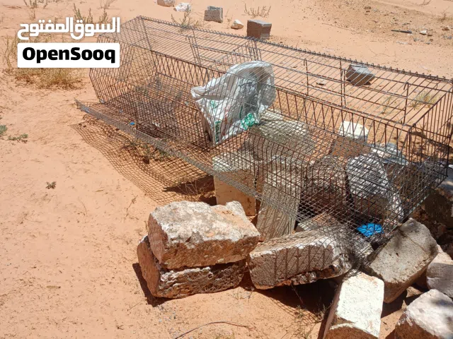 سلكات الحمام والدجاج والارنب والسمان