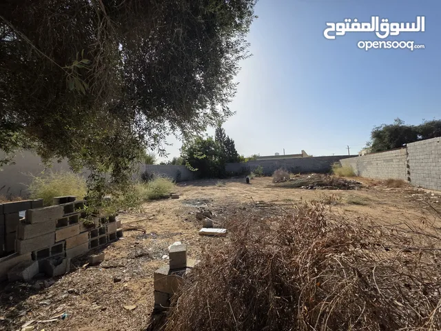 Residential Land for Sale in Misrata Tamina