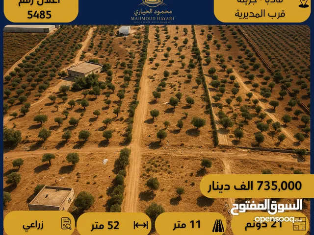 إعلان رقم: ( 5484 ) أرض زراعية للبيع في مادبا – جرينة ، قرب المديرية