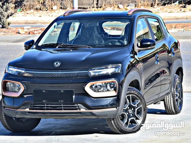 DONG FENG NANO BOX 2022