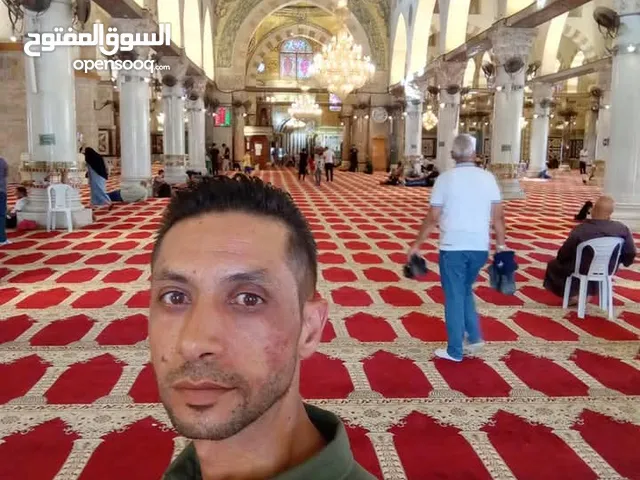 اسامه ربحي محمود صرمه
