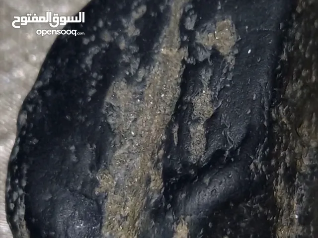 Black beauty.5.الجمال الأسود