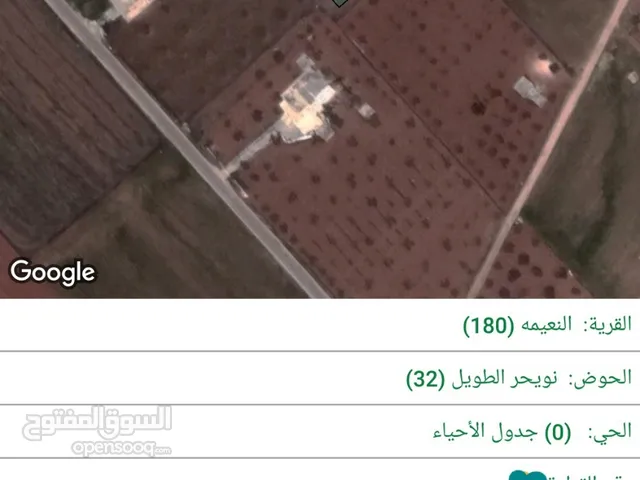 Farm Land for Sale in Irbid An-Nuayyimah