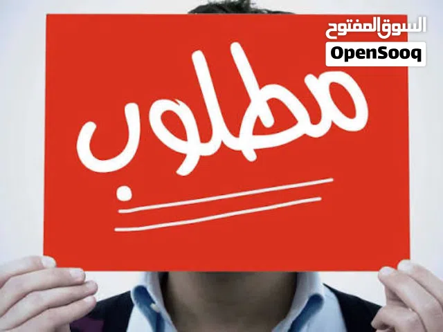 مطلوووب طير او طيره او جوز كوكتيل لاتينو او البينو بسعر مناسب