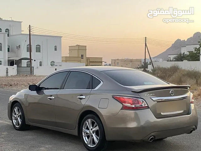 التيما 2014