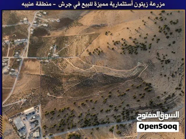 Mixed Use Land for Sale in Jerash Unaybah