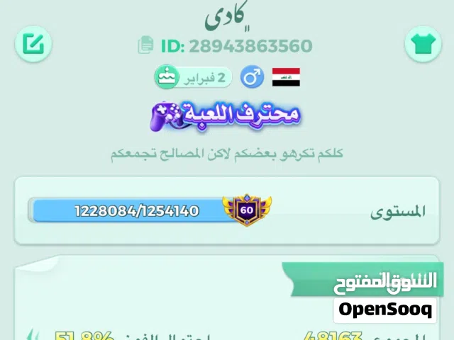 Ludo Accounts and Characters for Sale in Basra