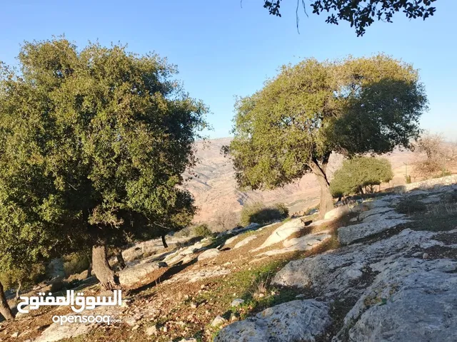 Farm Land for Sale in Salt Al Balqa'