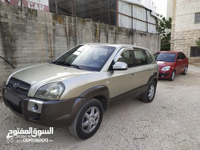 2005//16صباب/فل الفل
