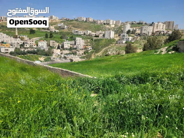 أرض بسعر لقطة في الكمالية - صويلح للبيع