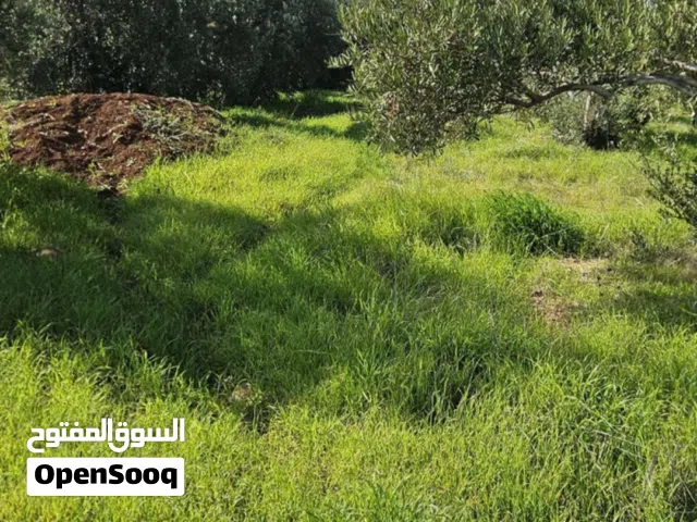 ارض في بشرى حوض دغيم مساحة 457 م