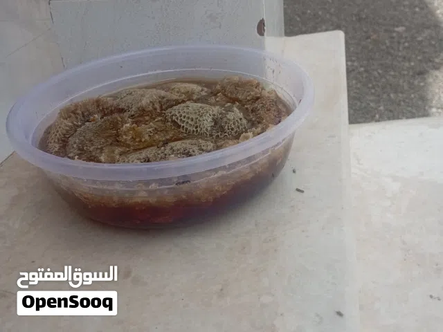 لبيع عسل ابوطويق برم سمر اصلي
