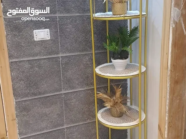 قفص  عمان زرقا 3 محافظات 5