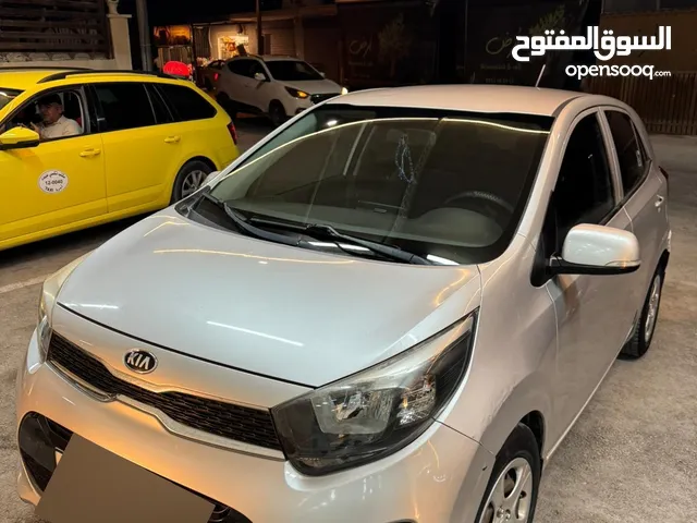 Used Kia Picanto in Jericho