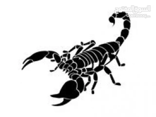 عمر