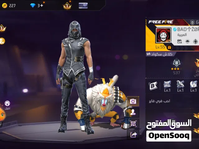 Free Fire Accounts and Characters for Sale in Zarqa