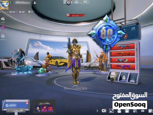 حساب ببجي للبيع   Pubg account for sale