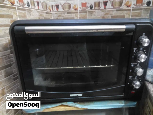 Electric oven