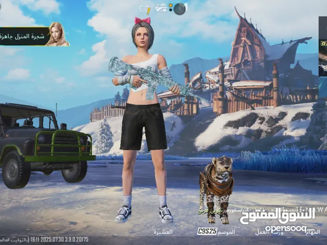 حساب ببجي سعر مناسب للجميع
